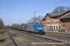 TXL 185 518 Stubben