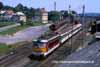 242 208 Sokolov